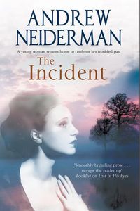 Produktbild: Neiderman, A: The Incident