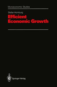 Produktbild: Efficient Economic Growth