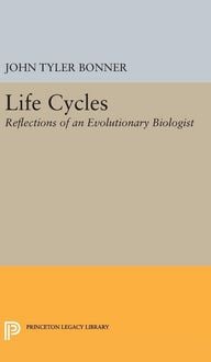 Produktbild: Life Cycles