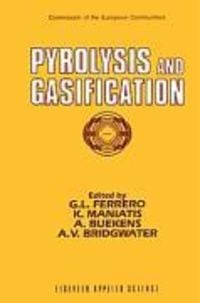 Produktbild: Pyrolysis and Gasification