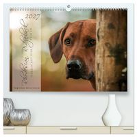 Produktbild: Rhodesian Ridgeback - Herzen auf vier Pfoten (hochwertiger Premium Wandkalender 2027 DIN A2 quer), Kunstdruck in Hochglanz