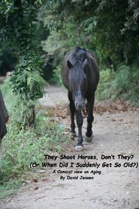 Produktbild: They Shoot Horses, Don't They?