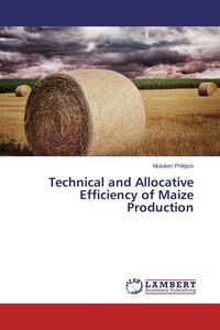 Produktbild: Technical and Allocative Efficiency of Maize Production