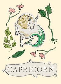 Produktbild: Capricorn