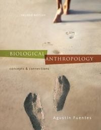 Produktbild: Biological Anthropology Concep