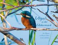 Produktbild: V&ouml;gel in der Uckermark