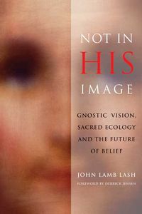 Produktbild: Not in His Image: Gnostic Vision, Sacred Ecology, and the Future of Belief