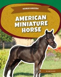 Produktbild: American Miniature Horse