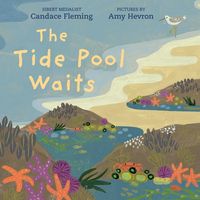 Produktbild: The Tide Pool Waits