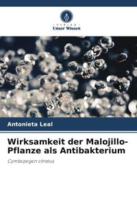 Produktbild: Wirksamkeit der Malojillo-Pflanze als Antibakterium