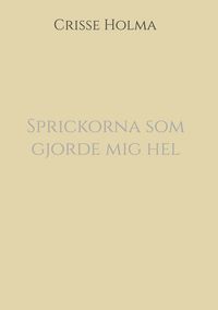 Produktbild: Sprickorna som gjorde mig hel