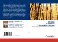 Produktbild: Biomass Gasification