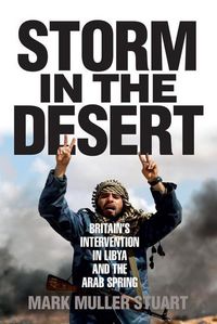 Produktbild: Storm in The Desert