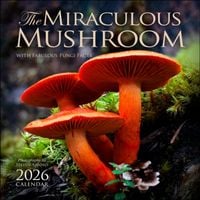 Produktbild: The Miraculous Mushroom 2026 Wall Calendar
