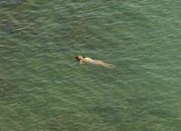 Produktbild: Richard Misrach