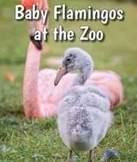 Produktbild: Baby Flamingos At The Zoo
