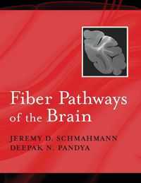 Produktbild: Fiber Pathways of the Brain