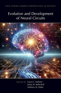 Produktbild: Evolution & Development of Neural Circuits
