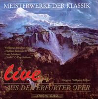 Produktbild: Haffner-Sinfonie KV 385/Sinf.D 944