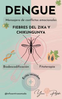 Produktbild: Dengue: mensajero de conflictos emocionales. Fiebres del Zika y Chikungunya. Biodescodificaci&oacute;n y Fitoterapia. (&iquest;Por qu&eacute; me enfermo?, #1)