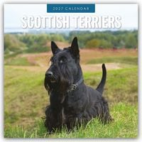 Produktbild: Scottish Terrier &ndash; Scotchterrier 2027 &ndash; 16-Monatskalender