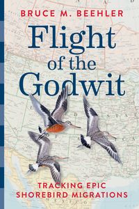 Produktbild: Flight of the Godwit