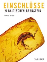Produktbild: Einschl&uuml;sse im baltischen Bernstein