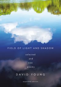 Produktbild: Field of Light and Shadow