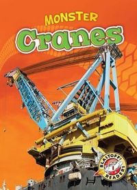 Produktbild: Cranes