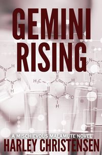 Produktbild: Gemini Rising