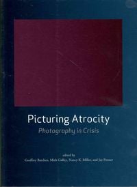Produktbild: Picturing Atrocity