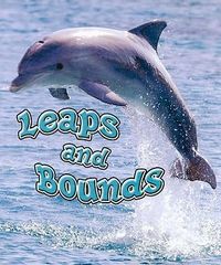 Produktbild: Leaps & Bounds