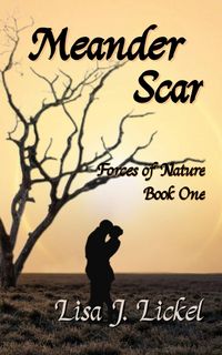 Produktbild: Meander Scar