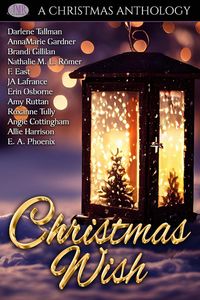 Produktbild: Christmas Wish