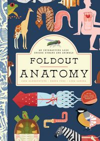 Produktbild: Foldout Anatomy