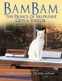 Produktbild: BamBam the Prince of Valprivas! Gets a Visitor