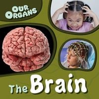 Produktbild: The Brain
