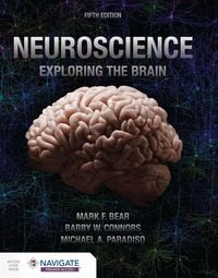 Produktbild: Neuroscience: Exploring the Brain