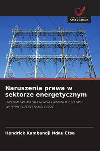 Produktbild: Naruszenia prawa w sektorze energetycznym