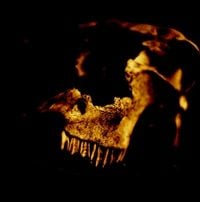 Produktbild: Kardeathian