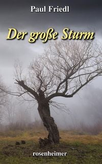 Produktbild: Der gro&szlig;e Sturm