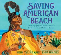 Produktbild: Saving American Beach