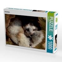 Produktbild: CALVENDO Puzzle Polarfuchs | 1000 Teile Lege-Gr&ouml;&szlig;e 64x48cm Foto-Puzzle f&uuml;r gl&uuml;ckliche Stunden