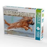 Produktbild: CALVENDO Puzzle Briard voller Lebensfreude beim spielen | 1000 Teile Lege-Gr&ouml;&szlig;e 64x48cm Foto-Puzzle f&uuml;r gl&uuml;ckliche Stunden