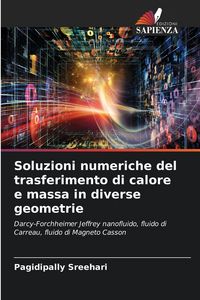 Produktbild: Soluzioni numeriche del trasferimento di calore e massa in diverse geometrie