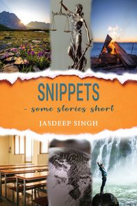 Produktbild: Snippets - some stories short