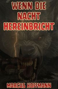 Produktbild: Wenn die Nacht hereinbricht
