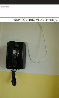 Produktbild: New Poetries VI