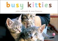 Produktbild: Busy Kitties-Board