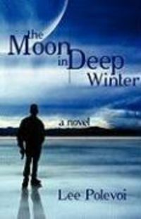 Produktbild: The Moon in Deep Winter